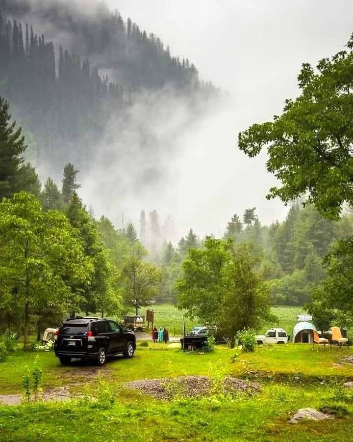 APV van for rent image